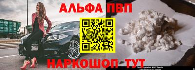 гашик Малгобек